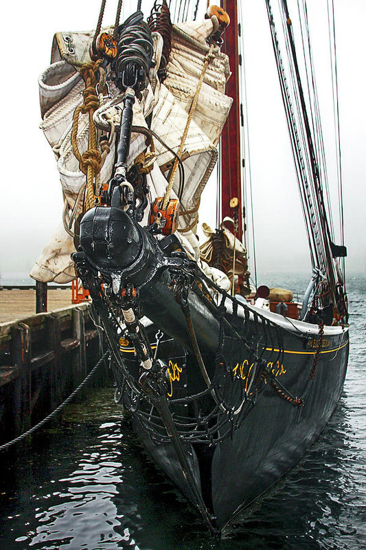 Bluenose II schooner vertical by Tatiana Travelways
