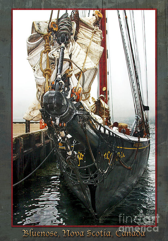 Buenose schooner II - vertical framed by Tatiana Travelways