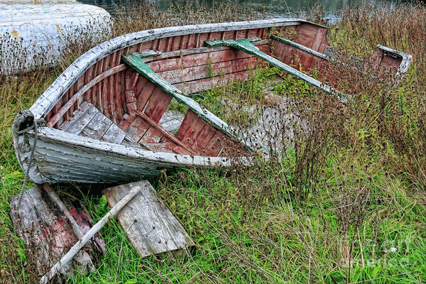 Rodney in the silent mode - a wreck boat in Newfoundland by Tatiana Travelways