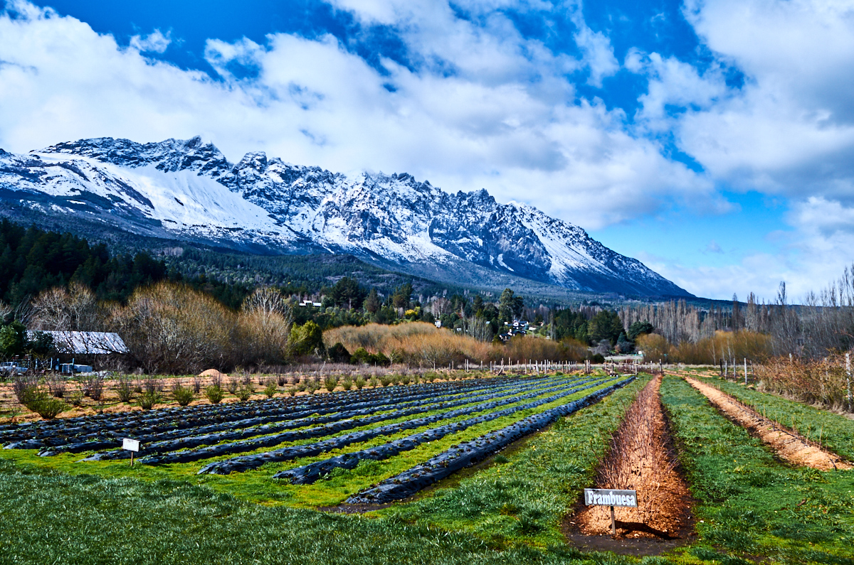Patagonian raspberry farmlands in El Bolsón, photograph by Eduardo José Accorinti