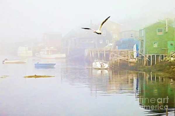 Fog over West Dover Nova Scotia